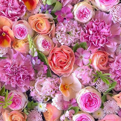 رضا احساس 6